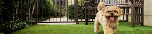 Pet friendly luxury apartments with puppy palazzo and dog yard at Villa Piana Apartments in Dallas