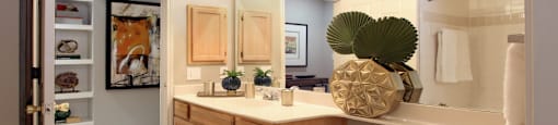 Luxury apartments with spacious bathrooms with tiled floors and showers, oval soaking tub, granite countertop, washed oak cabinets, and built-in bookshelves in north Dallas at Kensington Square Apartments.