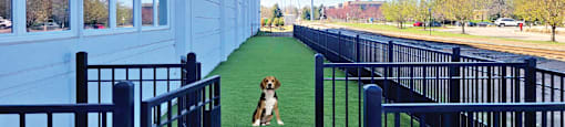 Private dog park at Xenia Apartments in Golden Valley, Minnesota