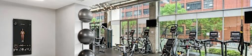 the gym atrium with weights and bikes and a large window