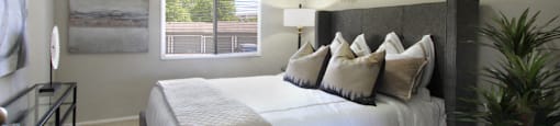 Spacious bedroom with walk-in closet and gray wall color at Inwood Apartments in La Vista, Nebraska