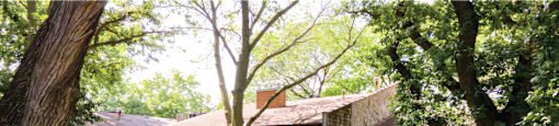 a view of the exterior of an old brick house with a yard and trees