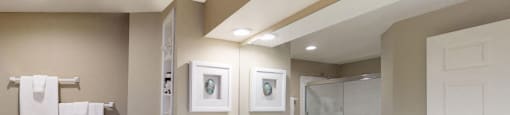 Luxury apartments with spacious bathrooms with glass showers, oval soaking tubs, built-in shelves, spacious linen closets, and cultured marble vanities at Tuscany Gate Apartments in Houston.