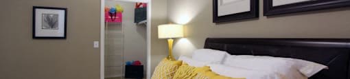 Spacious master bedroom with attached master bathroom and spacious walk-in closet with 9-foot ceilings at Village on the Parkway Apartments.