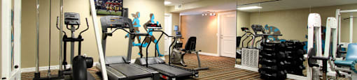 Fitness center at Woodlake Oaks Apartments in Houston, Texas
