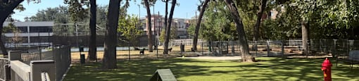 Dog Park at Woodlake Community Park near Woodlake Oaks Apartments, Houston Texas