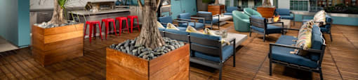 A wooden deck with blue chairs and a palm tree.