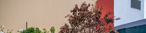 A small garden with a red tree and a grey wall.