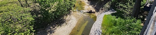 Soho balcony view of creek