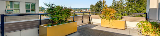 A rooftop patio with a yellow planter box and a balcony railing.