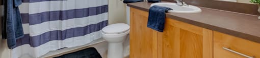 A bathroom with a blue and white striped shower curtain.