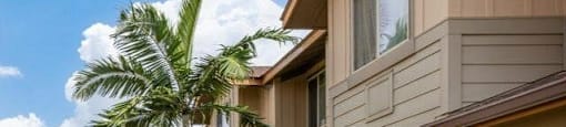 a sidewalk in front of a house with palm trees