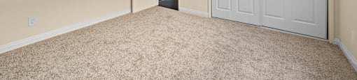 A room with a white door and carpeted floor.