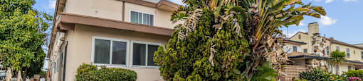 A house with a large tree in front and a sign that says BEA PROPERTY MANAGEMENT.