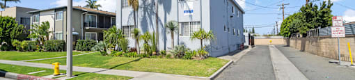 A street view of a residential area with a building and palm trees.