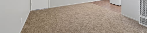 A room with a carpeted floor and a white door.