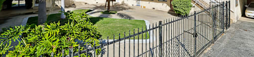 A building with a black fence and a palm tree in front.