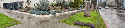 A wet street in front of a building with a sign that says Beach Front Property Management.