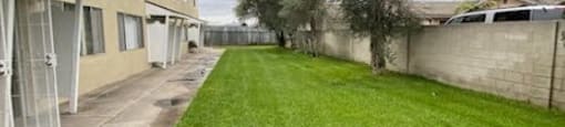 the yard of an apartment building with grass and a sidewalk
