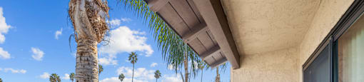 A balcony with a view of palm trees.