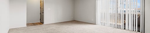 A room with a carpeted floor and a window with blinds.