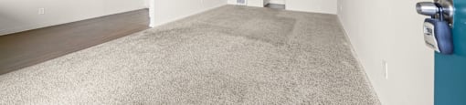 A room with a carpeted floor and a blue wall.