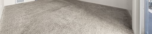 A room with a grey carpet and white walls.