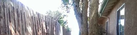 A narrow pathway between two wooden fences with greenery on the sides.