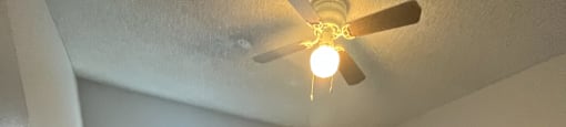 A room with a ceiling fan and wooden flooring.