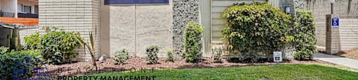 the building where the apartment is located