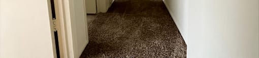 a hallway with a carpeted floor and white walls and a closet