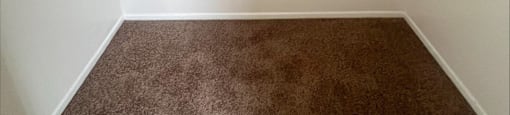 a room with a carpet and a white wall