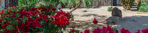 a view of a building with trees and flowers in front of it