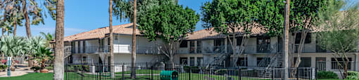 our apartments have a fenced in yard with grass and palm trees