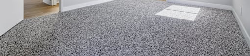 A spacious room with a grey carpet and white walls.