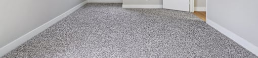 A room with a carpeted floor and a window with a view of trees.