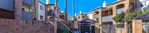 A pool surrounded by a brick wall and palm trees.