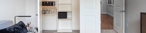 shelving unites for closet organization