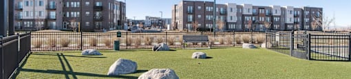 A grassy area with rocks and a fence in the foreground and apartment buildings in the background.