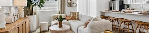 A living room with a dog and a couch.