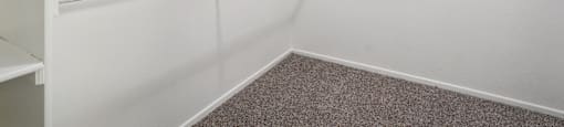 Empty room with white walls and shelves.