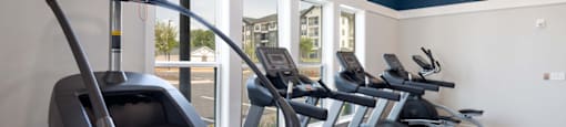 A row of treadmills in a gym with a window in the background.