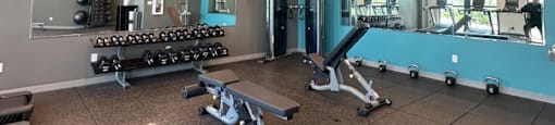 A gym with a variety of equipment including weights and machines.