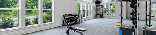 A gym with a bench, weights, and windows overlooking a garden.
