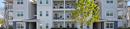 an apartment building with white siding and a tree in front of it