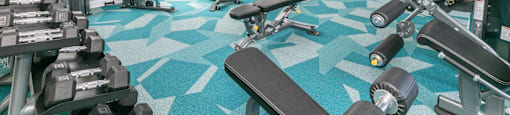a gym with cardio machines and weights on a blue rug