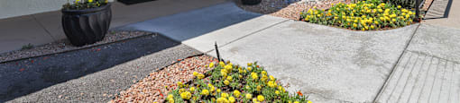 a walkway in front of a building with a sidewalk and plants