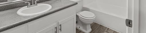 a bathroom with a sink and a toilet and a shower