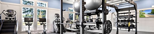 a gym with weights and exercise equipment in a luxury home