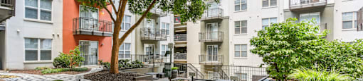 A tree in a courtyard of apartment buildings.